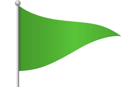 Test: Which "green flag" are y...