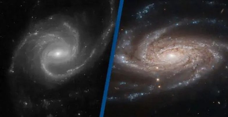 This project * unlike * from Harvard aims to discover 'alien