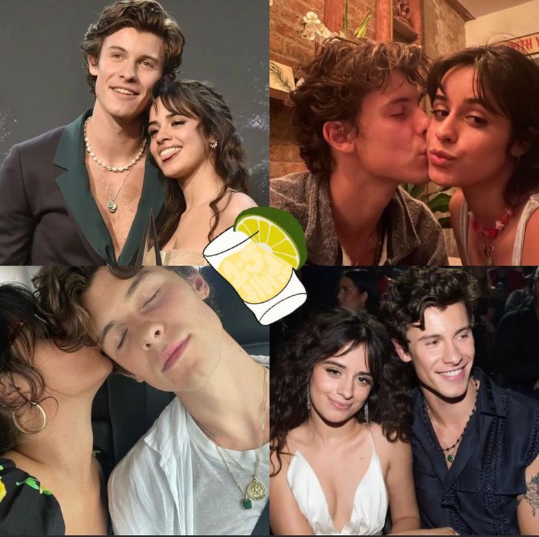 Camila Cabello thotë se u përgatit kështu para takimit të