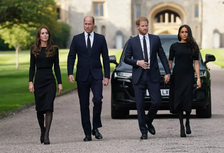 Gjuha e dashurisë e Meghan dhe Harry? Mbajtja e duarve