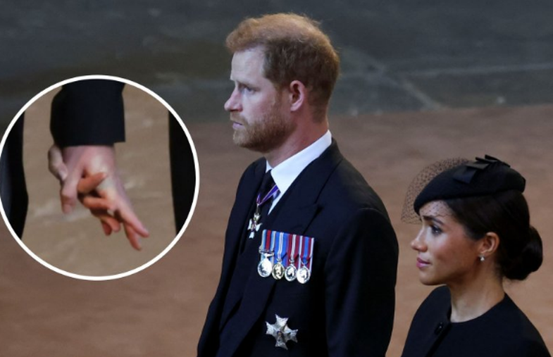 Gjuha e dashurisë e Meghan dhe Harry? Mbajtja e duarve