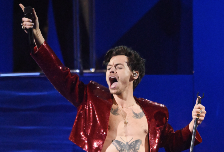 Harry Styles goditet me një send në sy, teksa po performonte