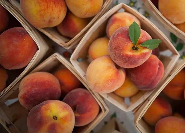 10 llojet e frutave me pak sheqer që duhet të shtoni gjatë