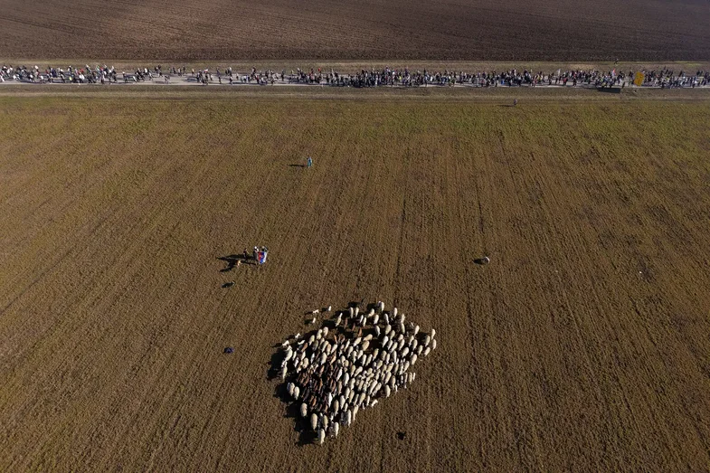 Përmes fotove: Bota në një javë