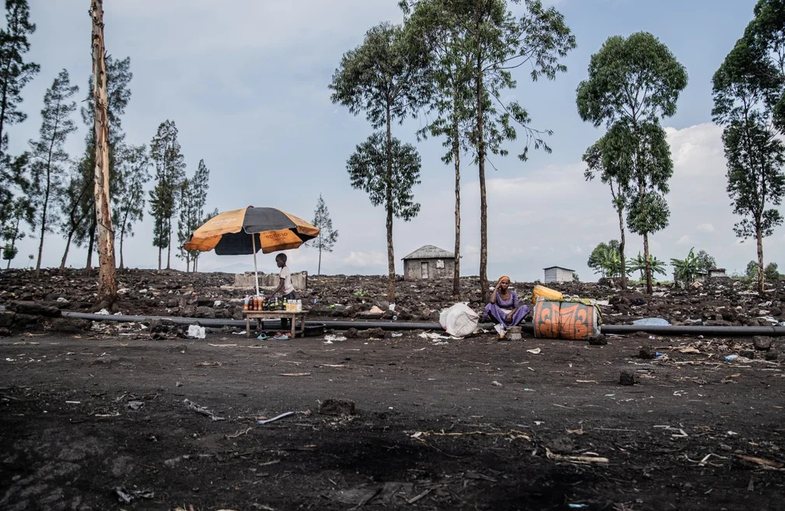 Përmes fotove: Bota në një javë