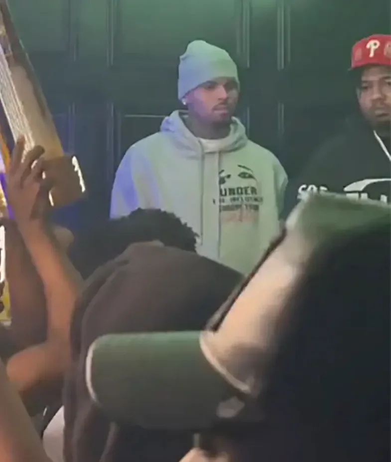 Chris Brown sërish në telashe me ligjin - Arrestohet për