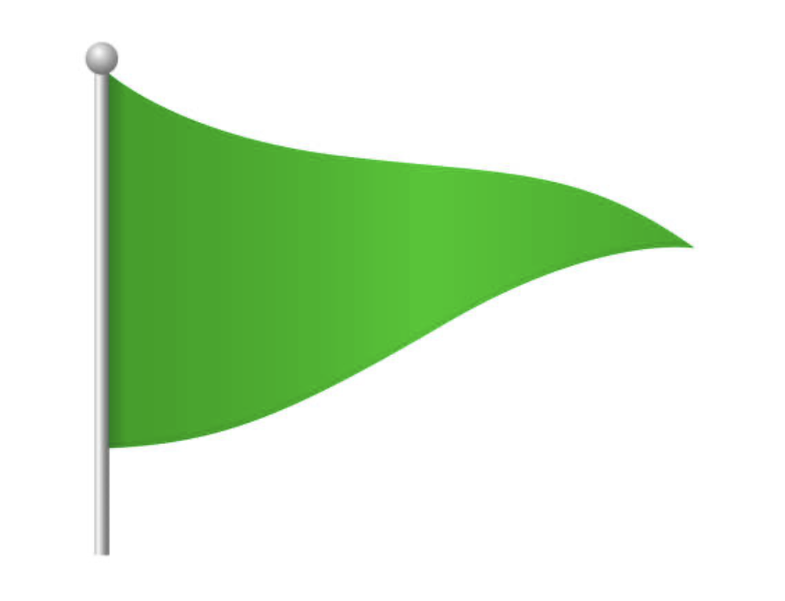 Test: Which "green flag" are you?