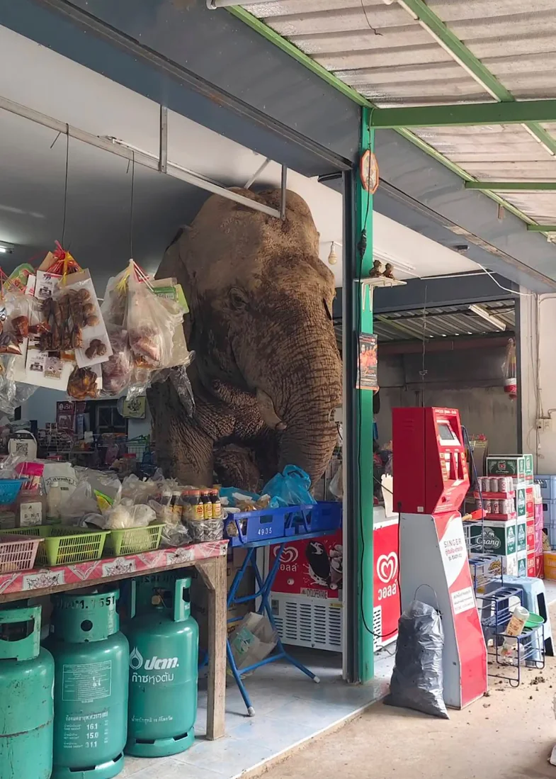 Përmes fotove: Bota në një javë